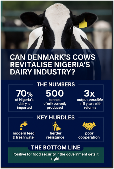 Danish Cows to Slash ₦1.5 Trillion Milk Import Bill