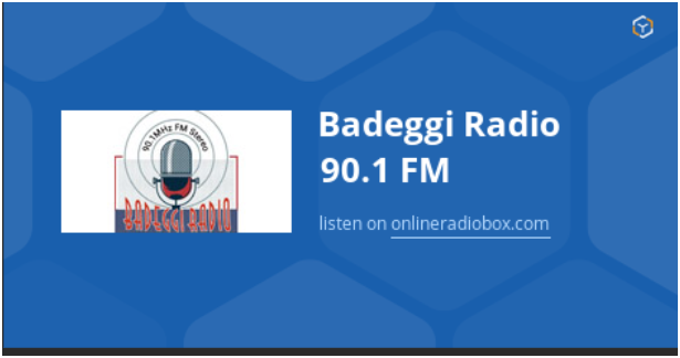 Badeggi FM Shutdown