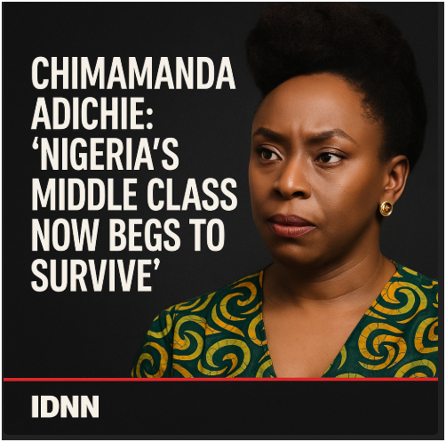 Chimamanda Adichie Nigeria economy